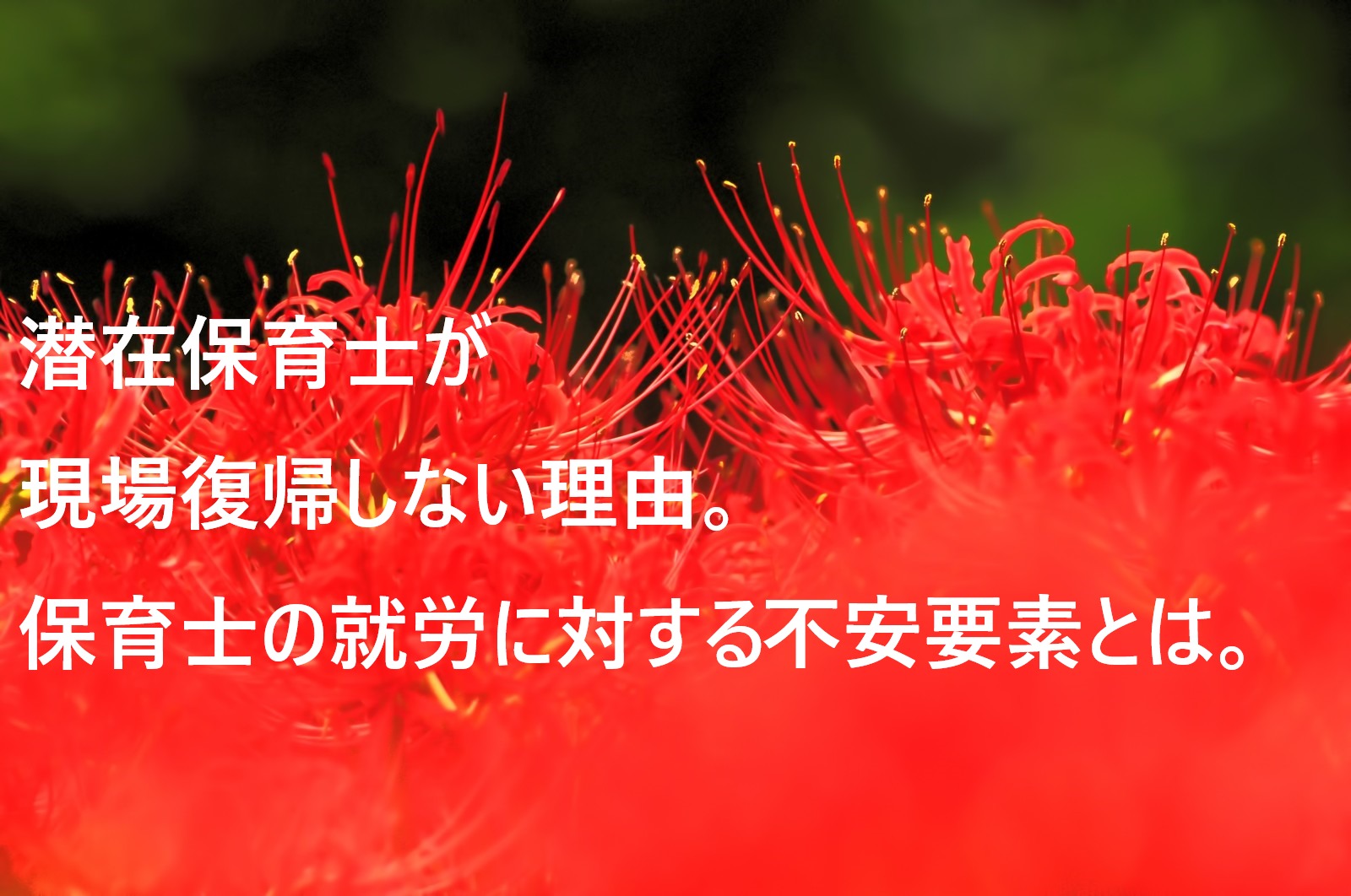 潜在保育士とは 復帰しない理由や 現状や復帰する不安要素 行われている研修などについて 保育士の道標